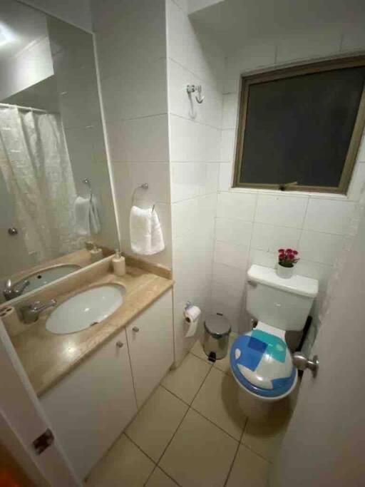 サンティアゴComodo Departamento En El Centro De Stgoアパートメント エクステリア 写真